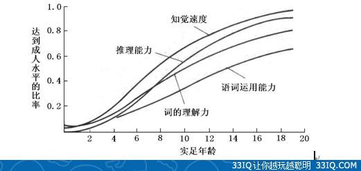 智力与年龄究竟有着怎么样的关系呢?