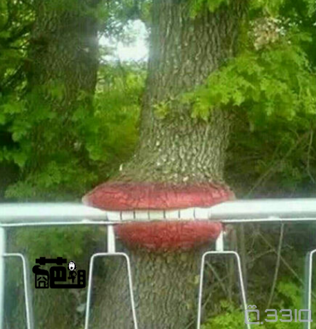 <em>奇葩姐</em>来也~摘自<em>空间</em>奇葩会 33IQ让你越玩越聪