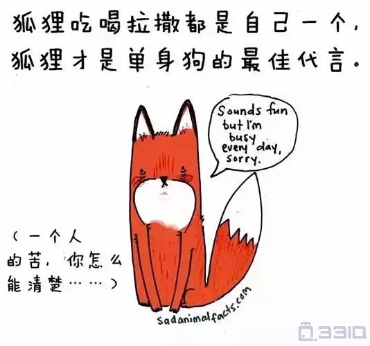 【萌漫画】小动物的蠢萌冷知识,你知道多少?