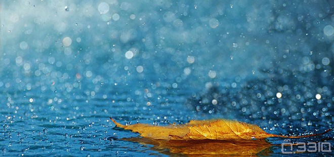 雨滴声为什么会这么响 - 33IQ